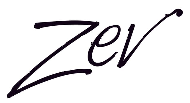 Zev Violin